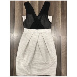 maxandcleo cocktail dress